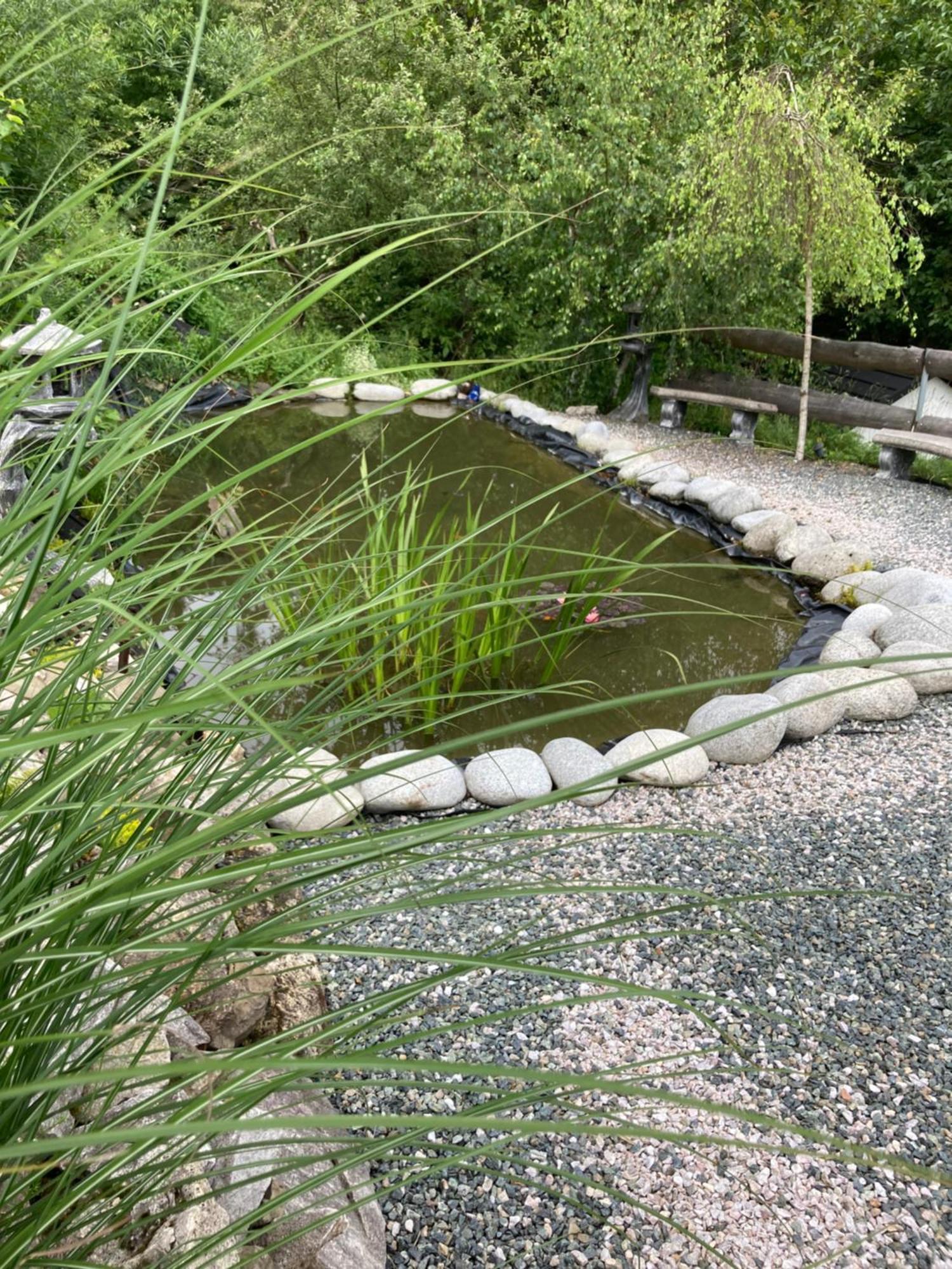 הוילה Zawoja Nad Korona Z Jacuzzi מראה חיצוני תמונה
